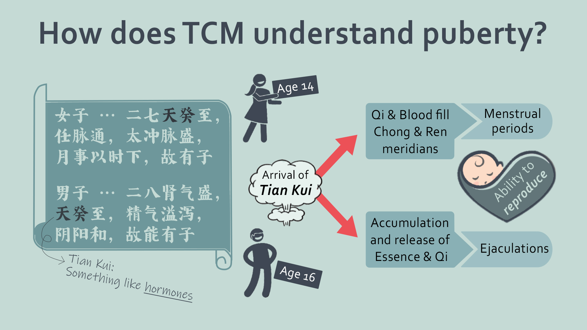 2 TCM‘s Understanding’